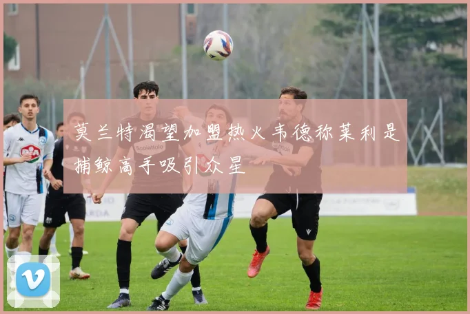 莫兰特渴望加盟热火韦德称莱利是捕鲸高手吸引众星