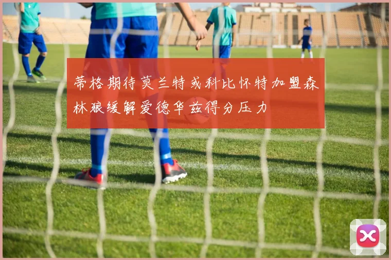 蒂格期待莫兰特或科比怀特加盟森林狼缓解爱德华兹得分压力